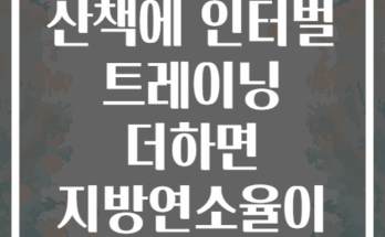 아침 공원 산책에 인터벌 트레이닝 더하면 지방연소율이 높아질까