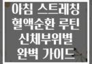 아침 스트레칭 혈액순환 루틴 신체부위별 완벽 가이드