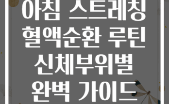 아침 스트레칭 혈액순환 루틴 신체부위별 완벽 가이드