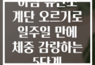 아침 유산소 계단 오르기로 일주일 만에 체중 감량하는 5단계