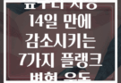 옆구리 지방 14일 만에 감소시키는 7가지 플랭크 변형 운동