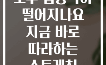 오후 집중력이 떨어지나요 지금 바로 따라하는 스트레칭