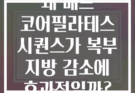 왜 매트 코어필라테스 시퀀스가 복부 지방 감소에 효과적일까?