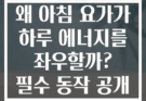 왜 아침 요가가 하루 에너지를 좌우할까? 필수 동작 공개