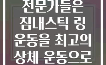 왜 피트니스 전문가들은 짐내스틱 링 운동을 최고의 상체 운동으로 꼽을까?