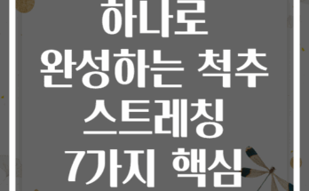 요가 블록 하나로 완성하는 척추 스트레칭 7가지 핵심 동작