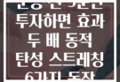 운동 전 5분만 투자하면 효과 두 배 동적 탄성 스트레칭 6가지 동작