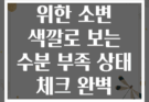 운동선수를 위한 소변 색깔로 보는 수분 부족 상태 체크 완벽 가이드