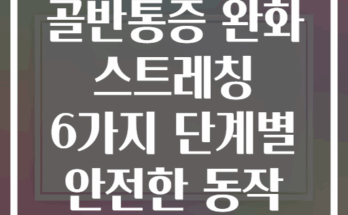 임산부 골반통증 완화 스트레칭 6가지 단계별 안전한 동작 가이드