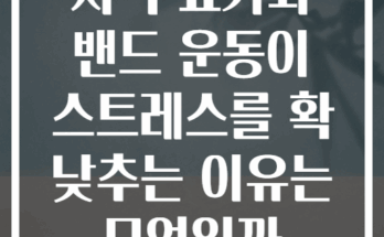 저녁 요가와 밴드 운동이 스트레스를 확 낮추는 이유는 무엇일까