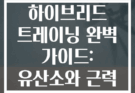 저녁 하이브리드 트레이닝 완벽 가이드: 유산소와 근력 동시에
