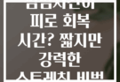 점심시간이 피로 회복 시간? 짧지만 강력한 스트레칭 비법