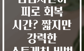 점심시간이 피로 회복 시간? 짧지만 강력한 스트레칭 비법