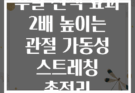 주말 산책 효과 2배 높이는 관절 가동성 스트레칭 총정리