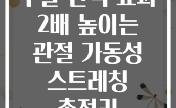 주말 산책 효과 2배 높이는 관절 가동성 스트레칭 총정리