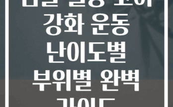짐볼 활용 코어 강화 운동 난이도별 부위별 완벽 가이드