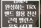 집에서 완성하는 TRX 밴드 활용 전신 근력 밸런스 운동 6단계