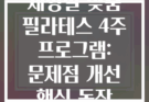 체형별 맞춤 필라테스 4주 프로그램: 문제점 개선 핵심 동작