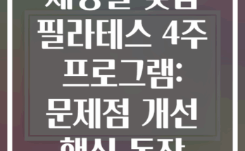 체형별 맞춤 필라테스 4주 프로그램: 문제점 개선 핵심 동작