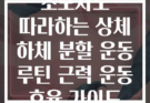 초보자도 따라하는 상체 하체 분할 운동 루틴 근력 운동 효율 가이드