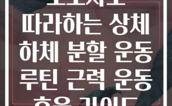 초보자도 따라하는 상체 하체 분할 운동 루틴 근력 운동 효율 가이드