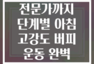 초보자부터 전문가까지 단계별 아침 고강도 버피 운동 완벽 가이드
