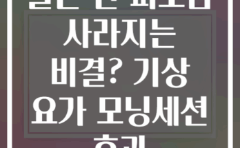 출근 전 피로감 사라지는 비결? 기상 요가 모닝세션 효과