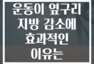 플랭크 변형 운동이 옆구리 지방 감소에 효과적인 이유는 무엇일까