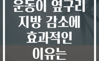 플랭크 변형 운동이 옆구리 지방 감소에 효과적인 이유는 무엇일까