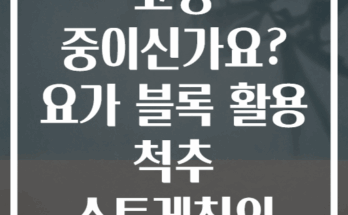 허리 통증으로 고생 중이신가요? 요가 블록 활용 척추 스트레칭의 기적