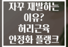 허리통증이 자꾸 재발하는 이유? 허리근육 안정화 플랭크 변형으로 해결
