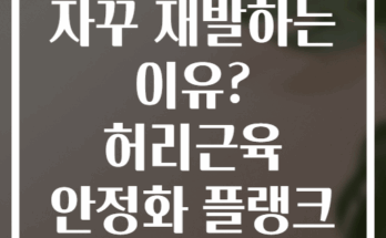 허리통증이 자꾸 재발하는 이유? 허리근육 안정화 플랭크 변형으로 해결