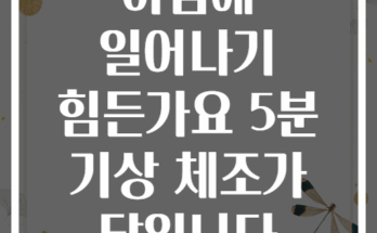 아침에 일어나기 힘든가요 5분 기상 체조가 답입니다