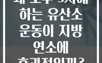 왜 오후 5시에 하는 유산소 운동이 지방 연소에 효과적일까?