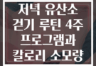 저녁 유산소 걷기 루틴 4주 프로그램과 칼로리 소모량