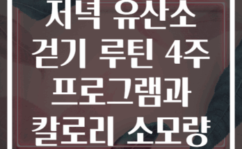 저녁 유산소 걷기 루틴 4주 프로그램과 칼로리 소모량
