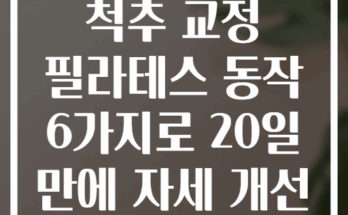 척추 교정 필라테스 동작 6가지로 20일 만에 자세 개선