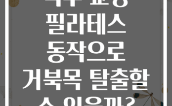 척추 교정 필라테스 동작으로 거북목 탈출할 수 있을까?
