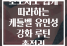 초보자도 쉽게 따라하는 케틀벨 유연성 강화 루틴 총정리