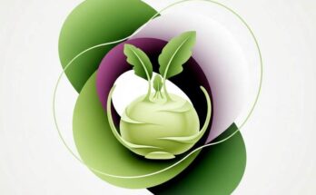 당뇨 걱정? 콜라비로 건강 관리 시작해보세요!