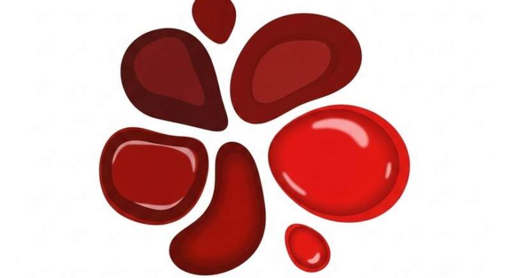 혈액암, 신호를 놓치면 큰일나요! 이 5가지 증상 꼭 확인해보세요.